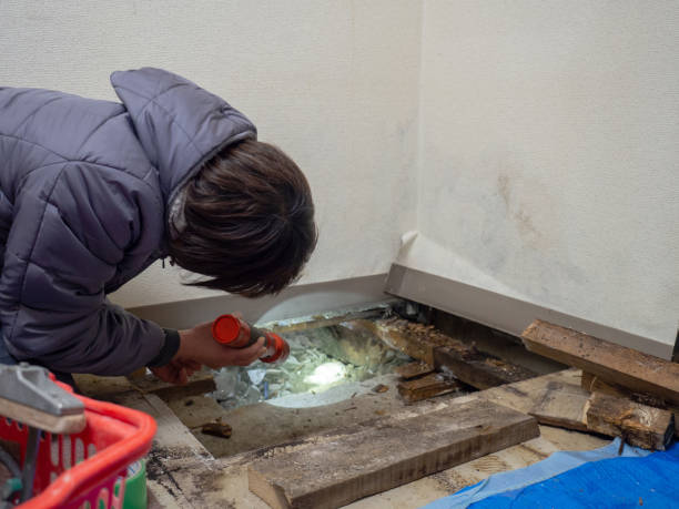 Best Air Quality Testing for Mold Spores  in Falls City, OR