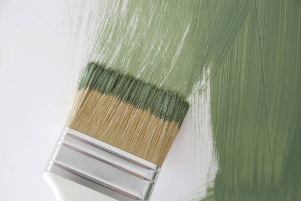 Best Mold Remediation for Healthcare Facilities  in Falls City, OR