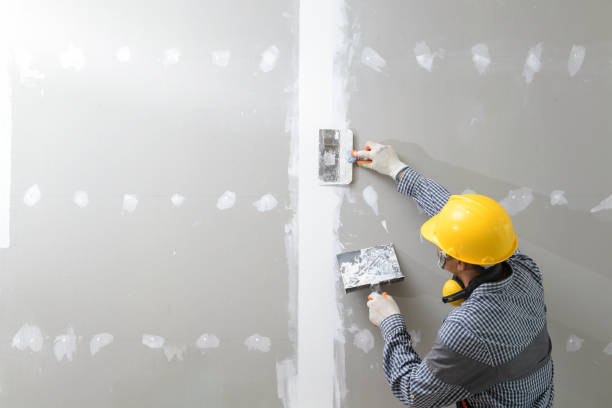 Best Emergency Mold Remediation  in Falls City, OR