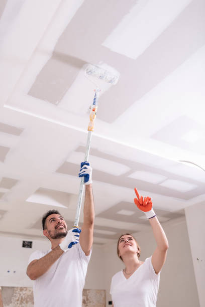 Best Comprehensive Air Testing for Mold Contaminants  in Falls City, OR