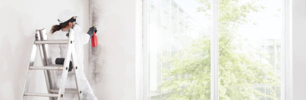 Best Mold Documentation for Insurance Claims  in Falls City, OR