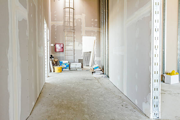 Best Basement Mold Removal  in Falls City, OR