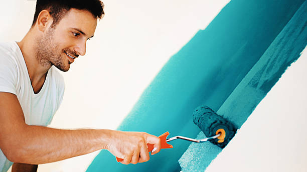 Best Black Mold Removal  in Falls City, OR