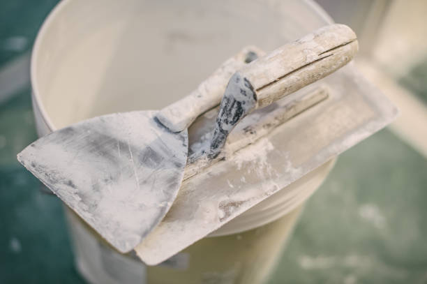 Reliable Falls City, OR Mold Removal Solutions